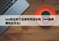 seo优化好了还用天天优化吗（seo都需要优化什么）