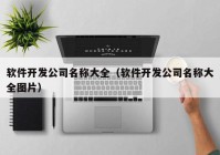 软件开发公司名称大全（软件开发公司名称大全图片）