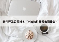 软件开发公司排名（宁波软件开发公司排名）