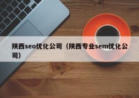 陕西seo优化公司（陕西专业sem优化公司）