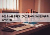 牛刀云小程序开发（牛刀云中制作小程序共有三个环境）