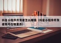 抖音小程序开发者怎么赚钱（抖音小程序开发者账号在哪里弄）