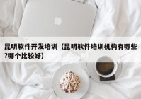 昆明软件开发培训（昆明软件培训机构有哪些?哪个比较好）