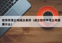 软件开发公司成立条件（成立软件开发公司需要什么）