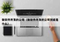 做软件开发的公司（做软件开发的公司到底是什么）