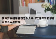 软件开发初学者该怎么入手（软件开发初学者该怎么入手教程）