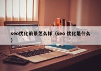 seo优化前景怎么样（seo 优化是什么）