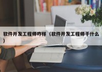 软件开发工程师咋样（软件开发工程师干什么）