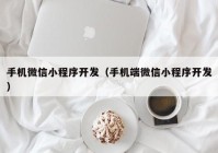 手机微信小程序开发（手机端微信小程序开发）