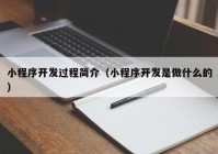 小程序开发过程简介（小程序开发是做什么的）