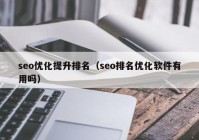 seo优化提升排名（seo排名优化软件有用吗）