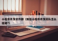 小程序开发软件群（微信小程序开发团队怎么组建?）