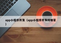 app小程序开发（app小程序开发找哪家）