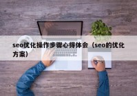 seo优化操作步骤心得体会（seo的优化方案）