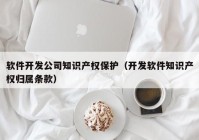 软件开发公司知识产权保护（开发软件知识产权归属条款）